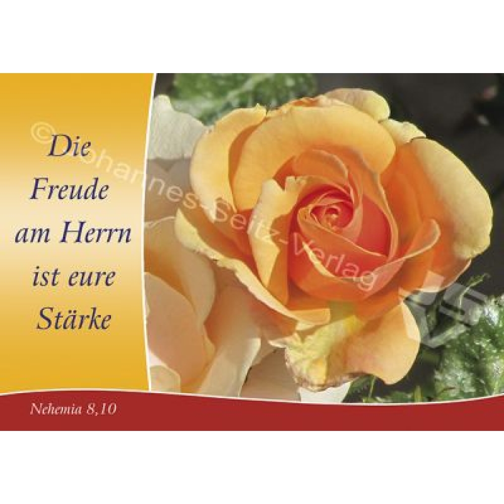 Postkarte Nehemia 8,10