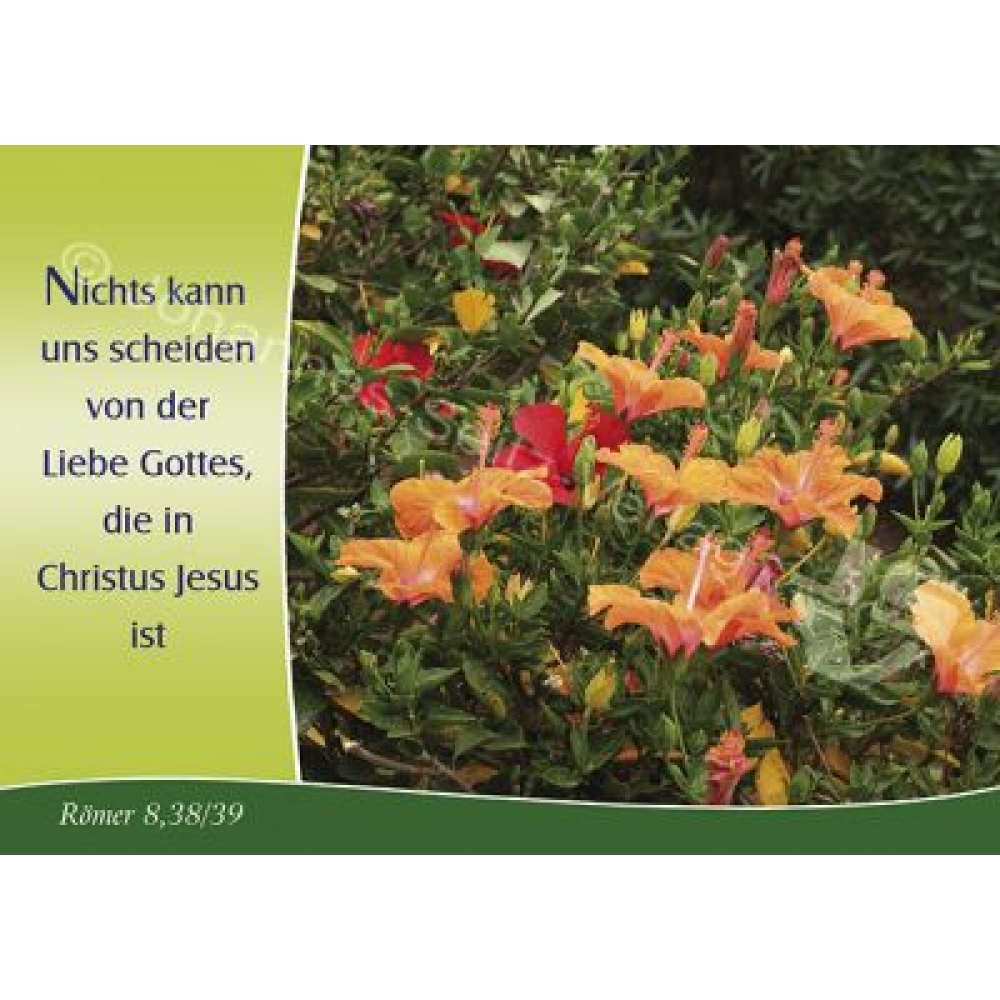 Postkarte Römer 8,38/39