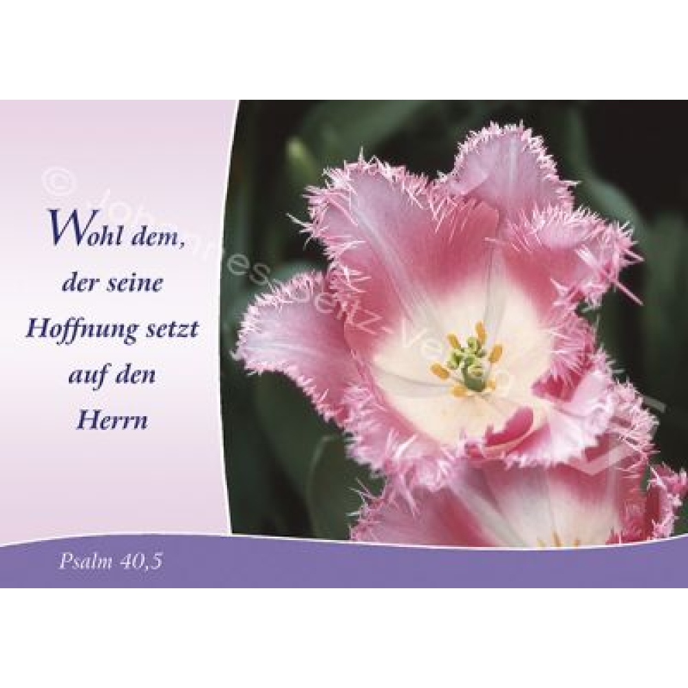 Postkarte Psalm 40,5