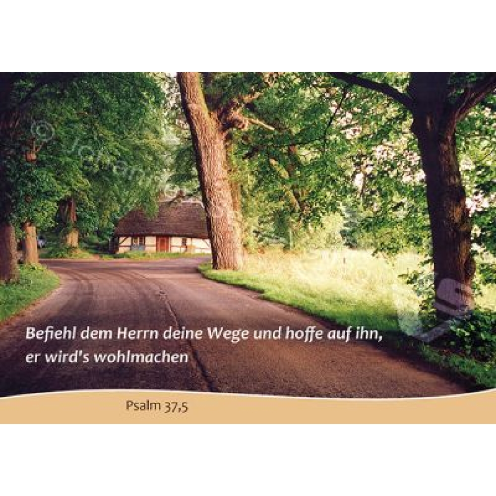 Postkarte Psalm 37,5