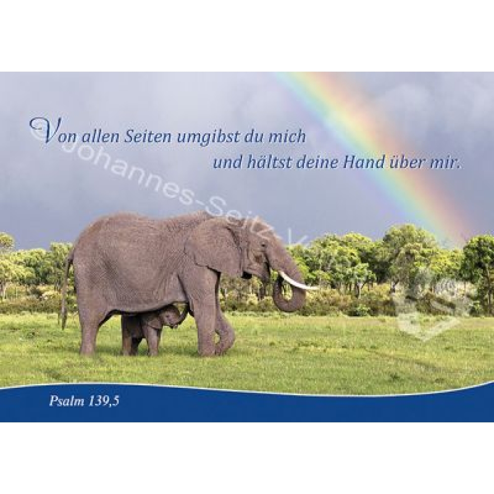 Postkarte Psalm 139,5