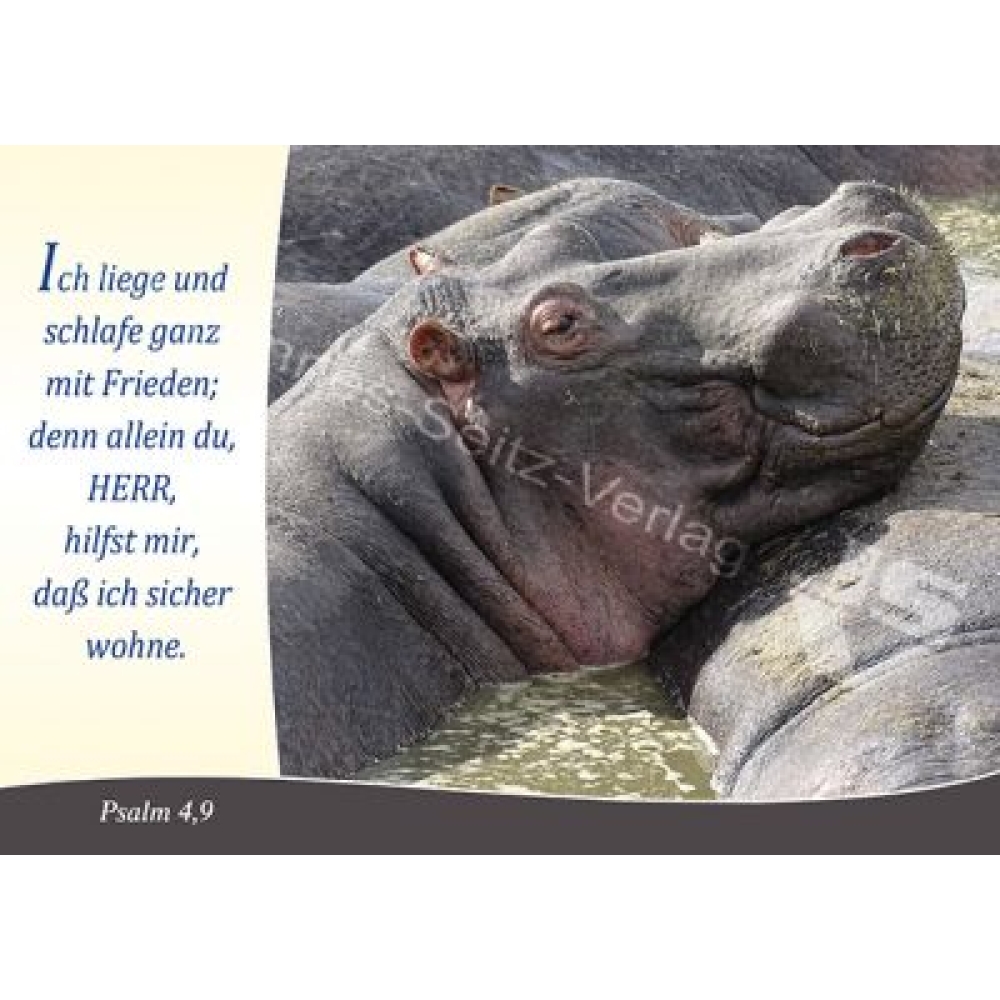 Postkarte Psalm 4,9