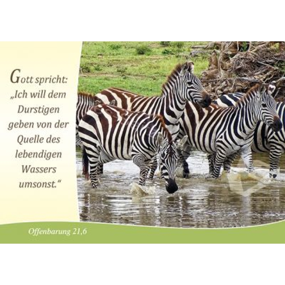 Postkarte Offenbarung 21,6