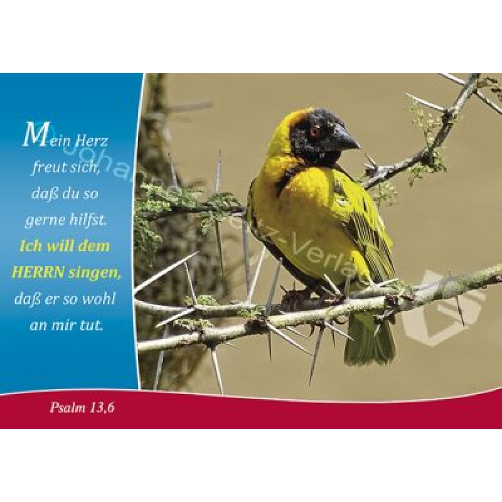 Postkarte Psalm 13,6