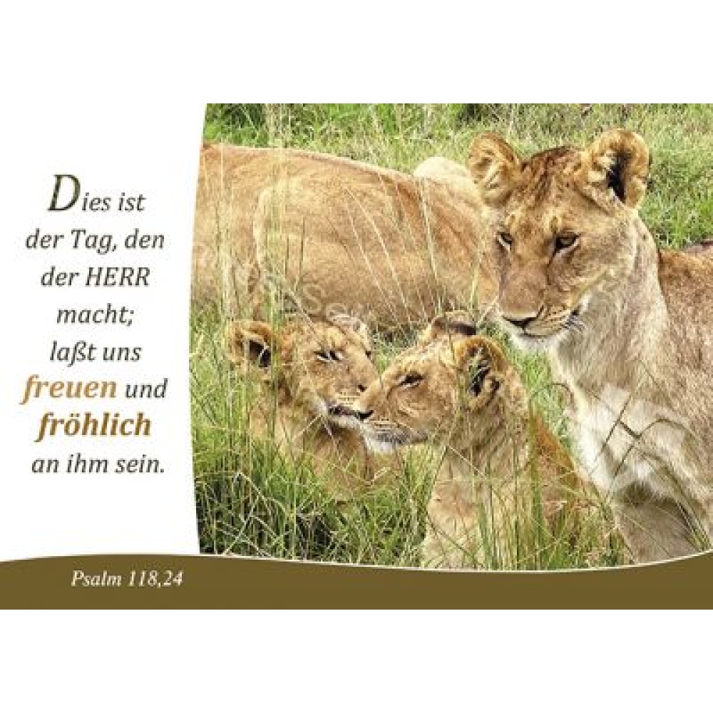 Postkarte Psalm 118,24