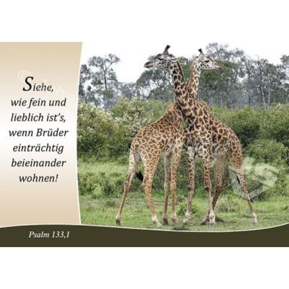 Postkarte Psalm 133,1