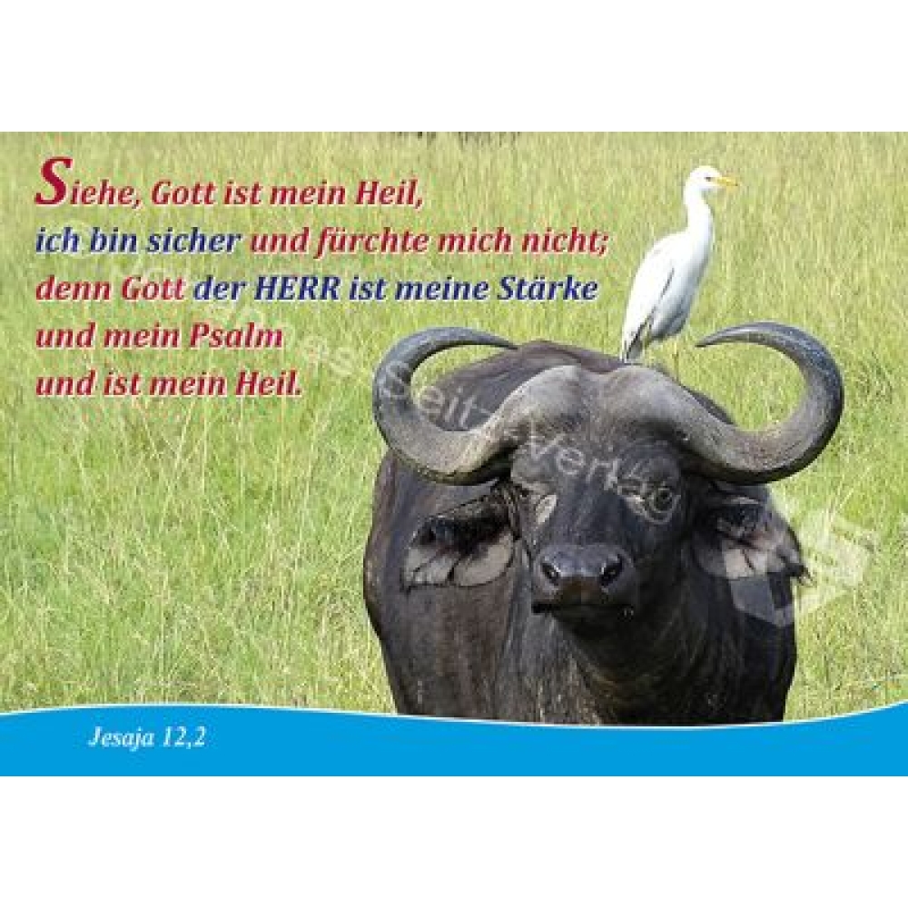 Postkarte Jesaja 12,2