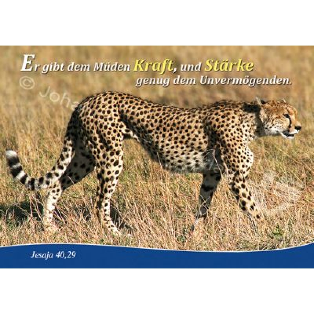 Postkarte Jesaja 40,29