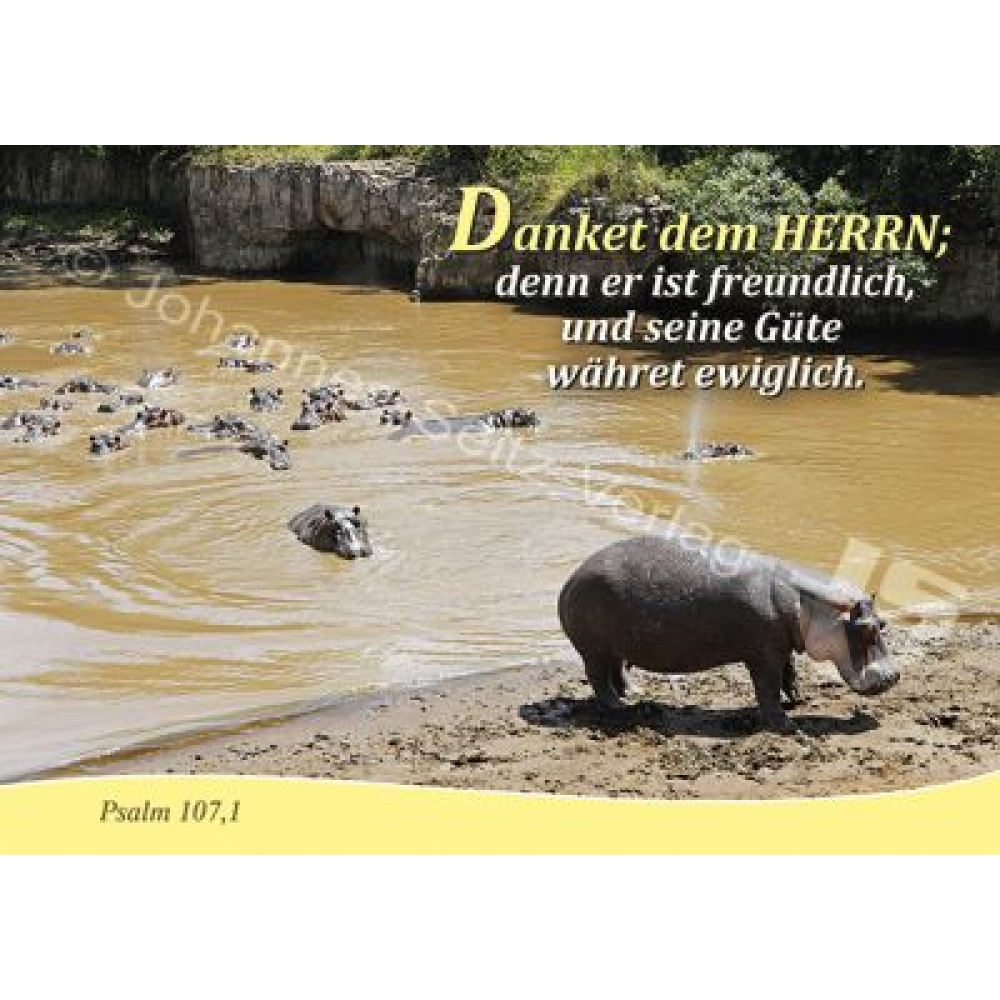 Postkarte Psalm 107,1