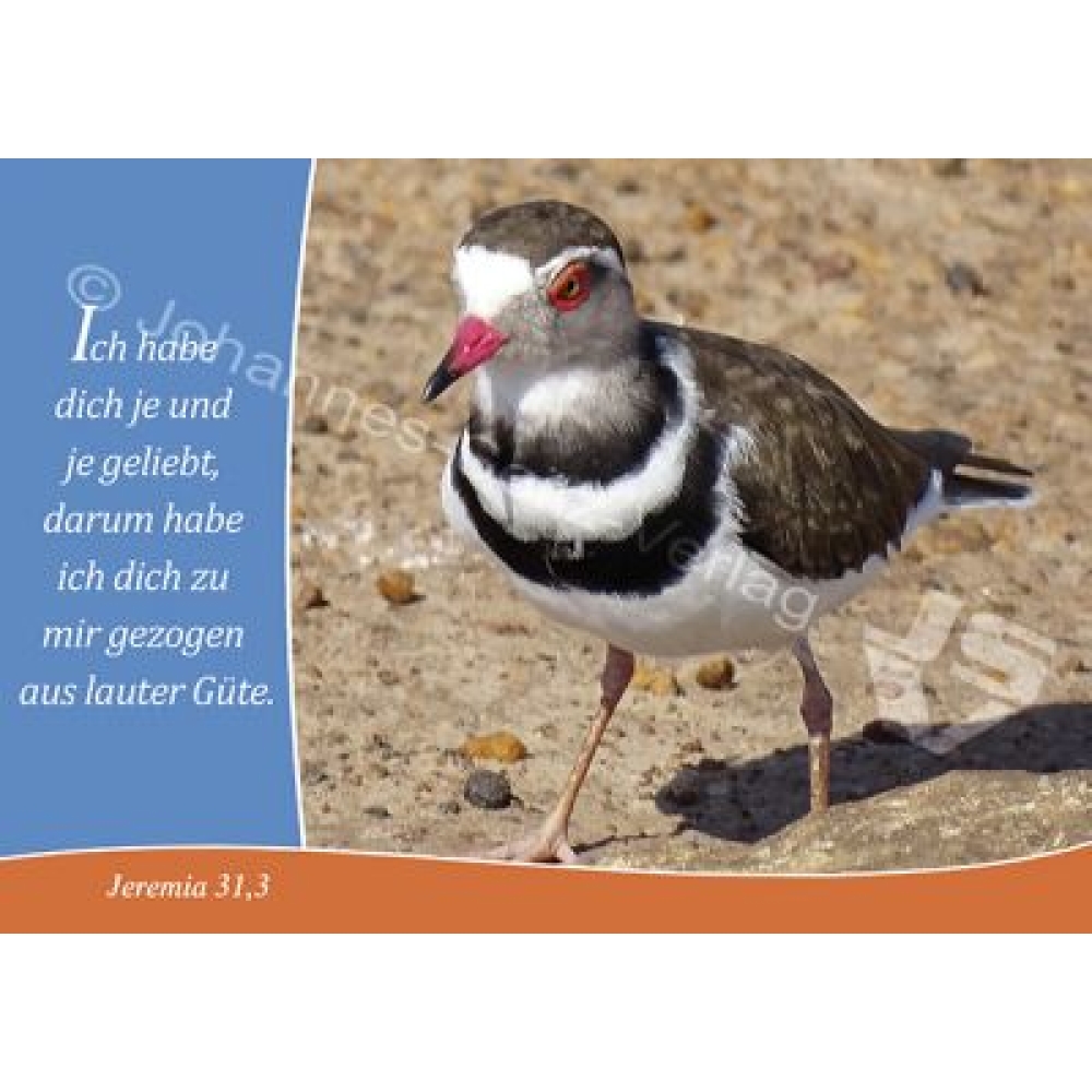 Postkarte Jeremia 31,3