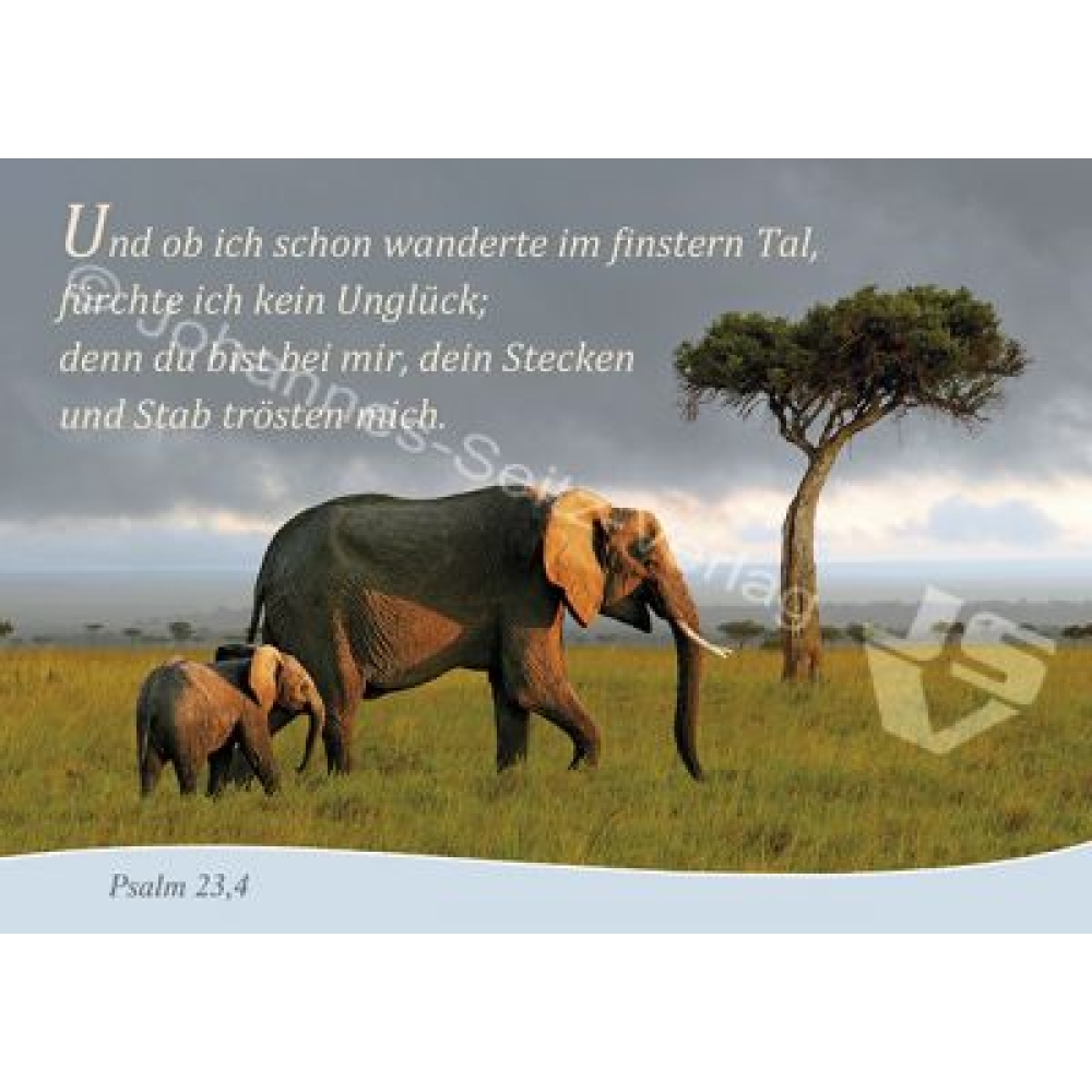 Postkarte Psalm 23,4