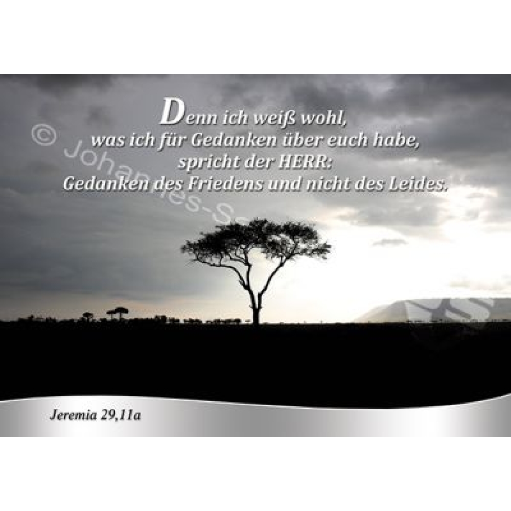 Postkarte Jeremia 29,11a