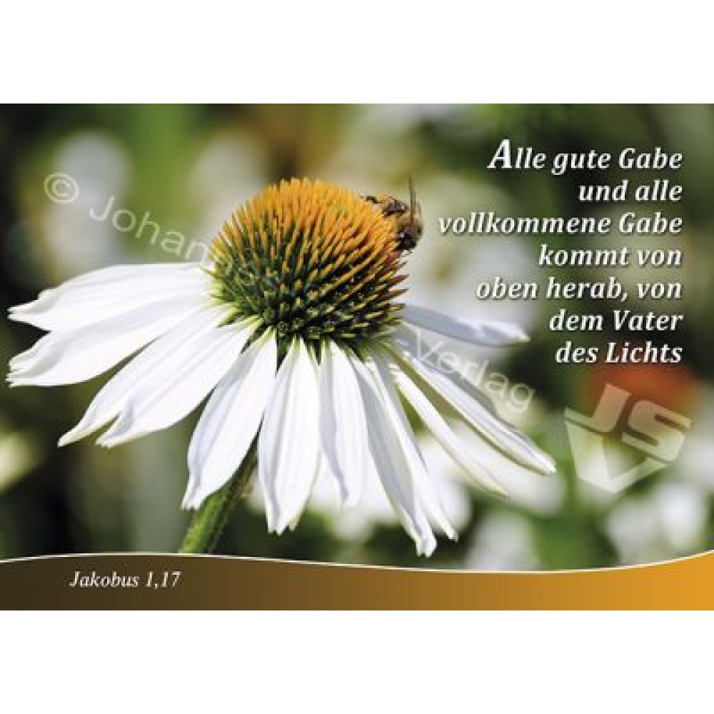 Postkarte Jakobus 1,17